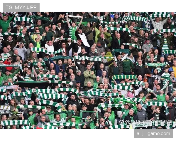 奥地利国家队迎战国际赛场新挑战，球迷热情助威展现坚定支持