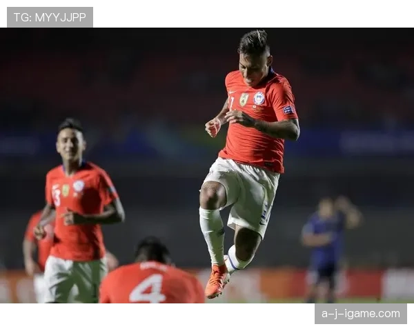 智利队整体表现